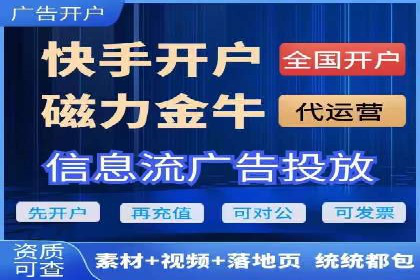 百度广告投放技巧与案例分享